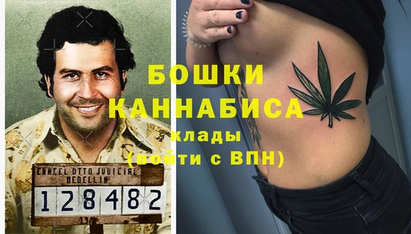дживик Пересвет
