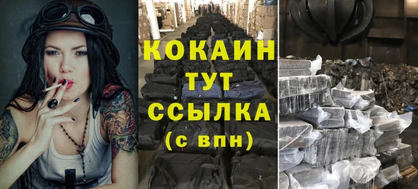 дживик Пересвет