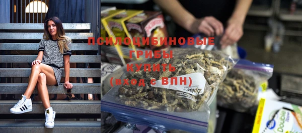 гашик Алексеевка