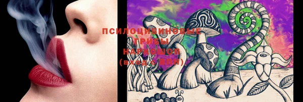 mix Алексин