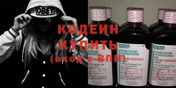 дживик Пересвет
